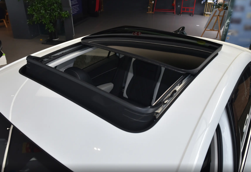 Volkswagen Sagitar L